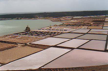 Le saline. Ora poco sfruttate per l'economia, offrono per una tavolozza di colori sorprendente.