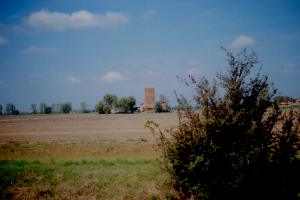 Ancora la torre dietro ad una siepe.